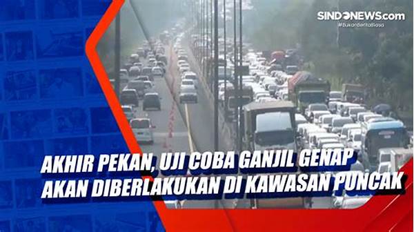 Ganjil Genap Diberlakukan 24 Jam, Uji Coba Atasi Kemacetan Di Jakarta Timur